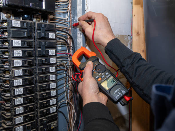 Best Electric Panel Repair  in Morris, IL